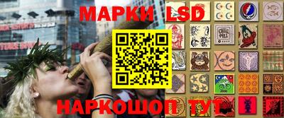 крисы Кингисепп