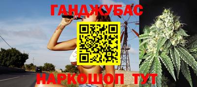 крисы Кингисепп