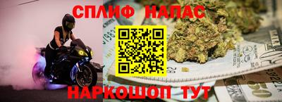 крисы Кингисепп