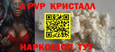 крисы Кингисепп
