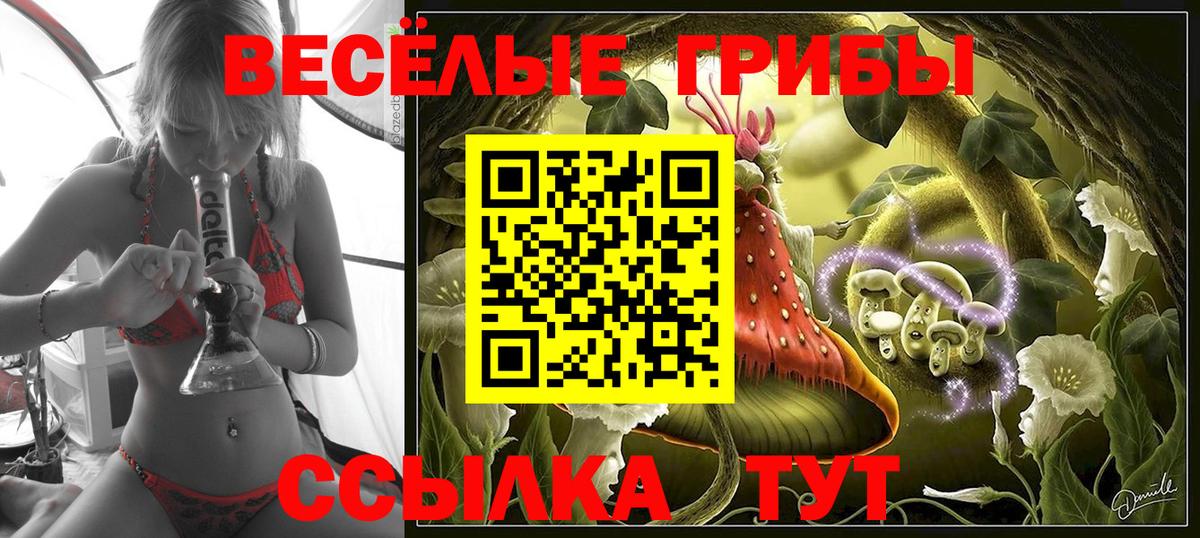Псилоцибиновые грибы мицелий  где купить наркотик  Корсаков  Вход с VPN 
